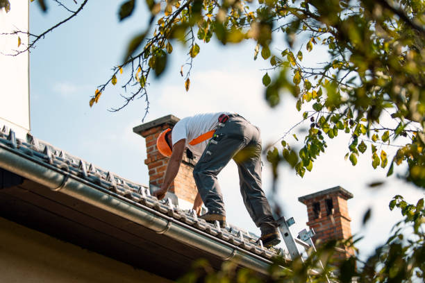 Best Gutter Installation and Repair  in Portland, TX