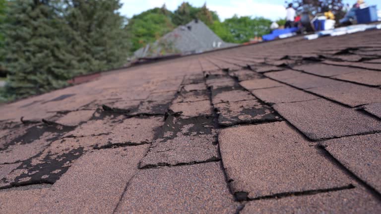 Best Roof Maintenance and Cleaning  in Portland, TX