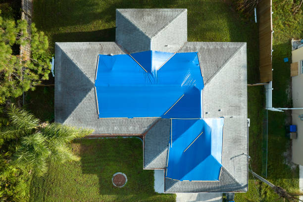 Best Green or Eco-Friendly Roofing Solutions  in Portland, TX